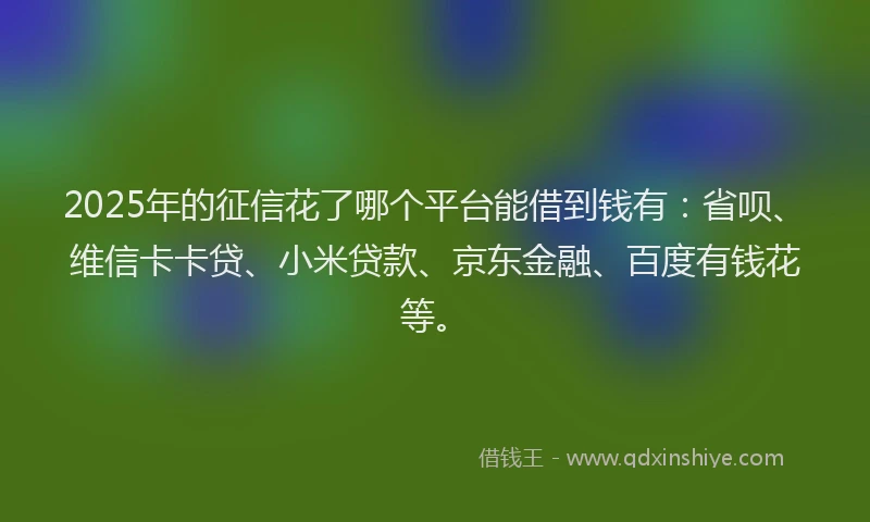 2025年的征信花了哪个平台能借到钱有：省呗、维信卡卡贷、小米贷款、京东金融、百度有钱花等。