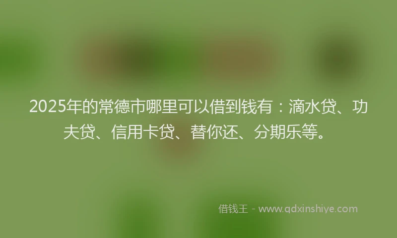 2025年的常德市哪里可以借到钱有：滴水贷、功夫贷、信用卡贷、替你还、分期乐等。