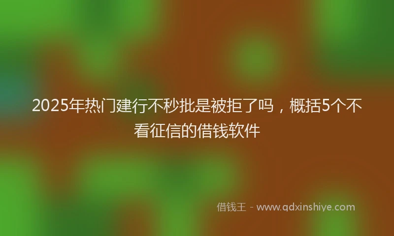 2025年热门建行不秒批是被拒了吗，概括5个不看征信的借钱软件