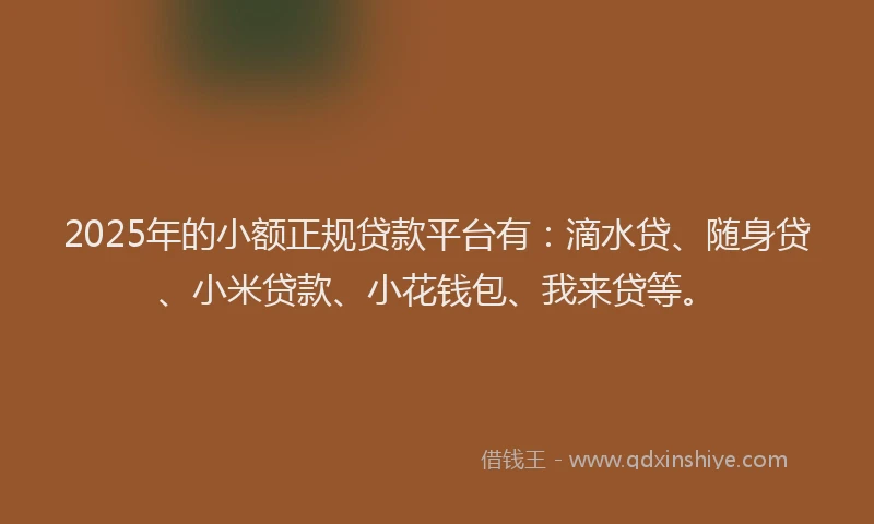 2025年的小额正规贷款平台有:滴水贷、随身贷、小米贷款、小花钱包、我来贷等。