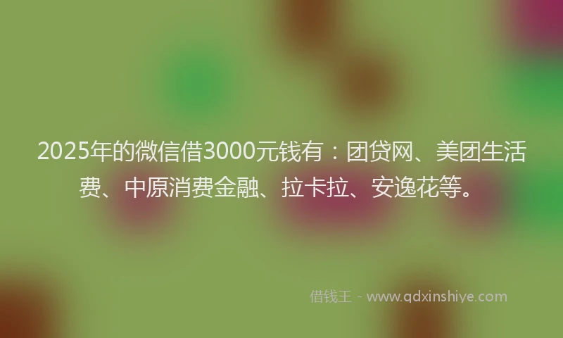 2025年的微信借3000元钱有：团贷网、美团生活费、中原消费金融、拉卡拉、安逸花等。