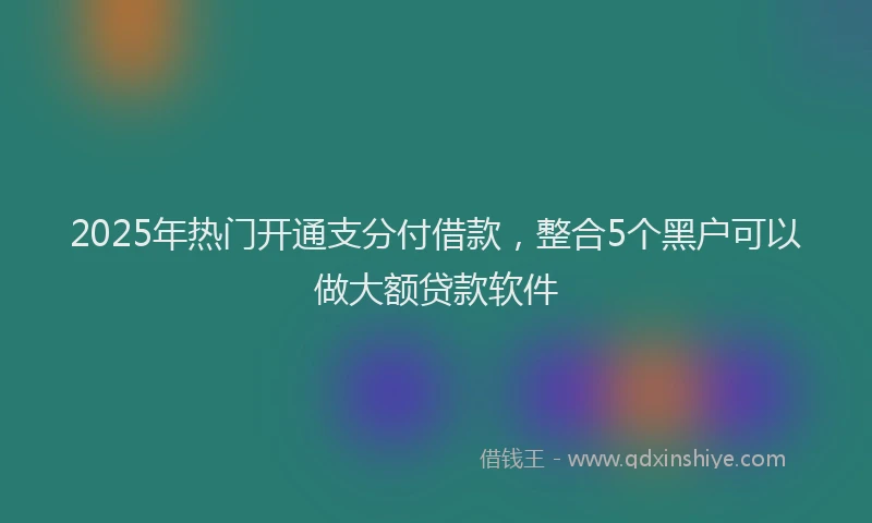 2025年热门开通支分付借款，整合5个黑户可以做大额贷款软件