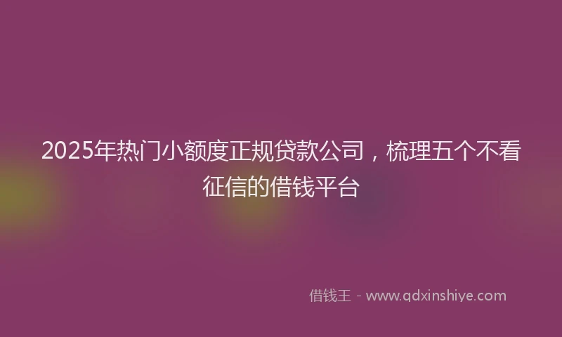 2025年热门小额度正规贷款公司，梳理五个不看征信的借钱平台