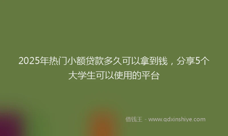 2025年热门小额贷款多久可以拿到钱,分享5个大学生可以使用的平台