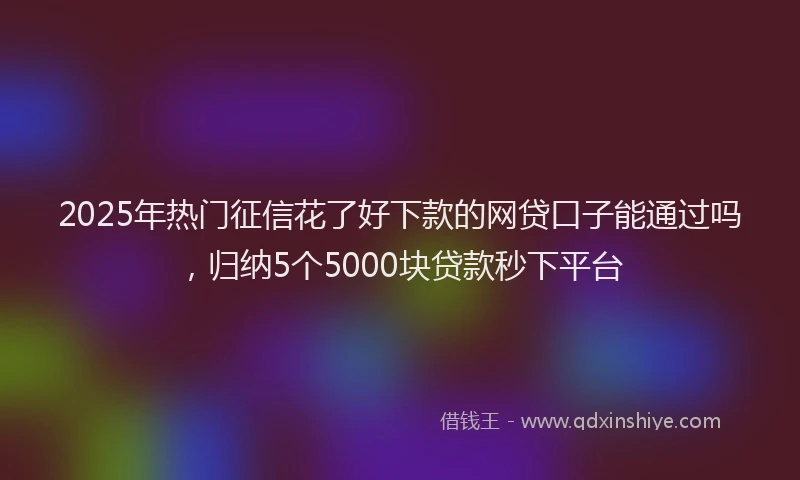 2025年热门征信花了好下款的网贷口子能通过吗，归纳5个5000块贷款秒下平台