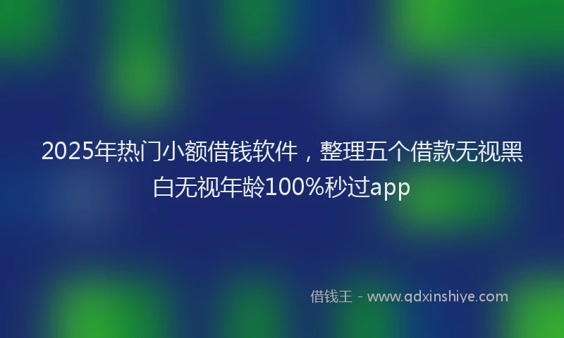 2025年热门小额借钱软件，整理五个借款无视黑白无视年龄100%秒过app