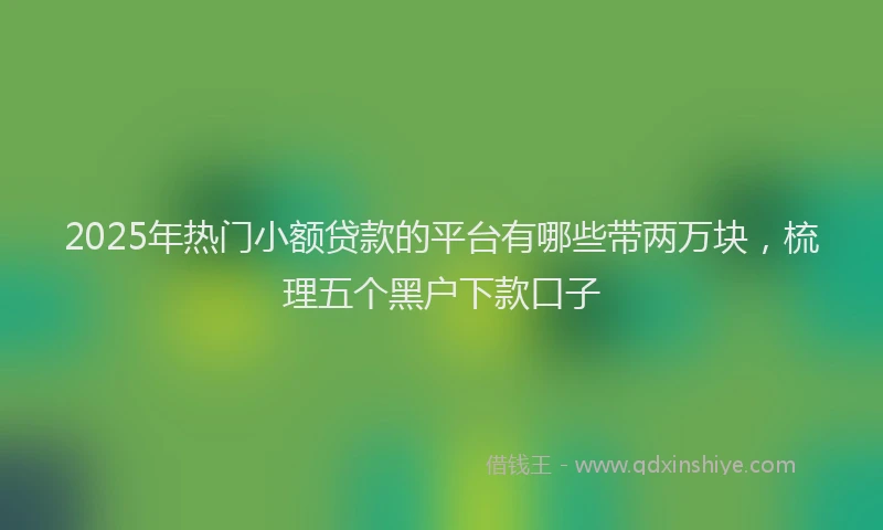 2025年热门小额贷款的平台有哪些带两万块，梳理五个黑户下款口子