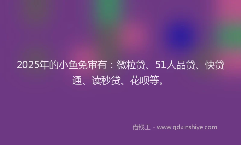 2025年的小鱼免审有：微粒贷、51人品贷、快贷通、读秒贷、花呗等。