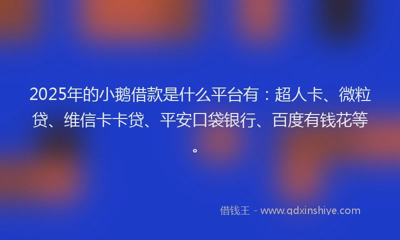 2025年的小鹅借款是什么平台有：超人卡、微粒贷、维信卡卡贷、平安口袋银行、百度有钱花等。