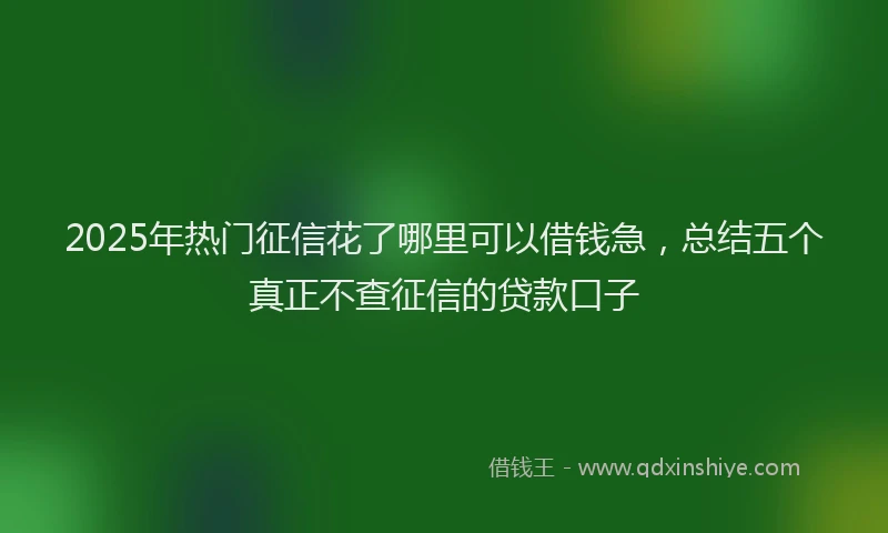 2025年热门征信花了哪里可以借钱急，总结五个真正不查征信的贷款口子
