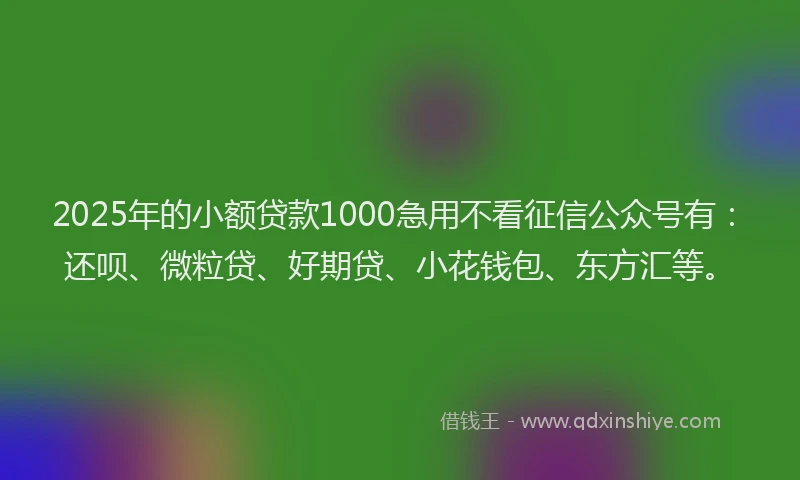 2025年的小额贷款1000急用不看征信公众号有：还呗、微粒贷、好期贷、小花钱包、东方汇等。