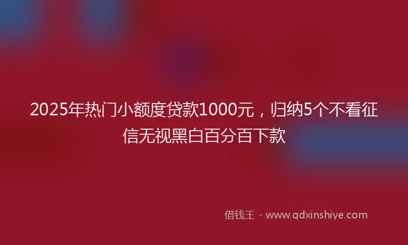 2025年热门小额度贷款1000元，归纳5个不看征信无视黑白百分百下款