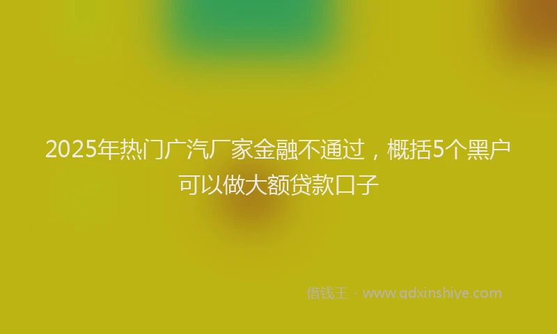 2025年热门广汽厂家金融不通过,概括5个黑户可以做大额贷款口子