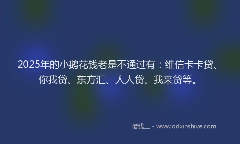 2025年的小鹅花钱老是不通过有：维信卡卡贷、你我贷、东方汇、人人贷、我来贷等。