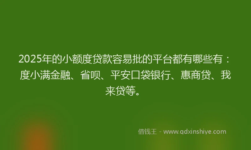 2025年的小额度贷款容易批的平台都有哪些有：度小满金融、省呗、平安口袋银行、惠商贷、我来贷等。