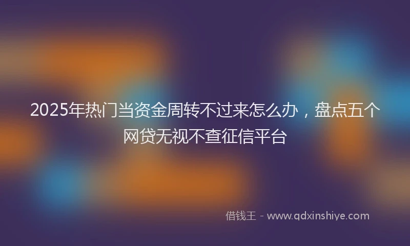 2025年热门当资金周转不过来怎么办，盘点五个网贷无视不查征信平台