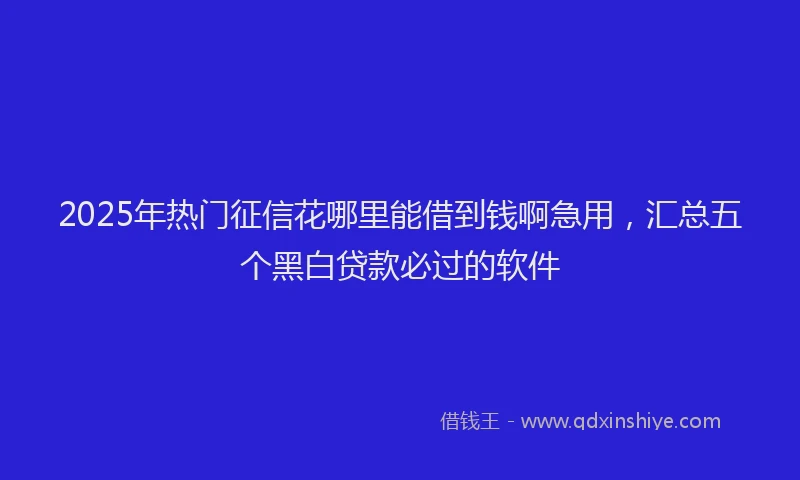 2025年热门征信花哪里能借到钱啊急用，汇总五个黑白贷款必过的软件