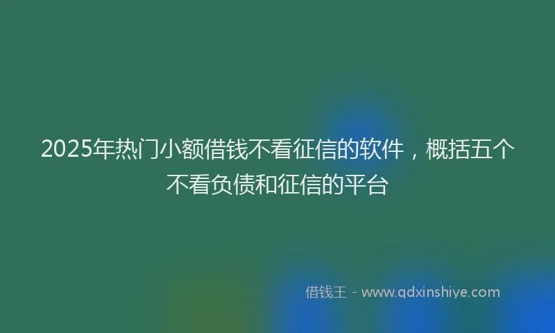 2025年热门小额借钱不看征信的软件，概括五个不看负债和征信的平台
