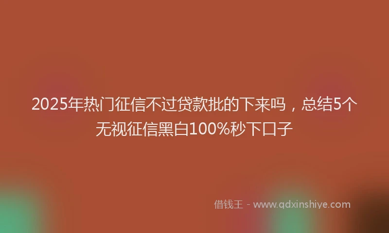 2025年热门征信不过贷款批的下来吗，总结5个无视征信黑白100%秒下口子