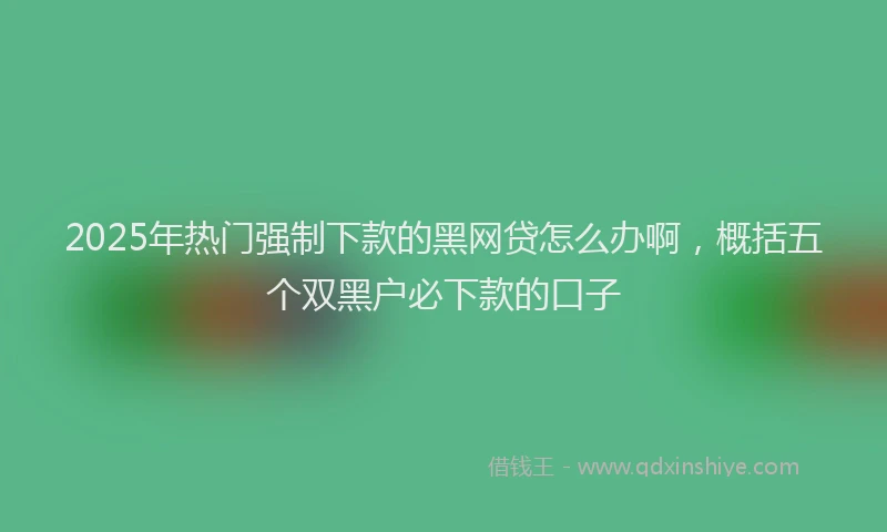 2025年热门强制下款的黑网贷怎么办啊，概括五个双黑户必下款的口子