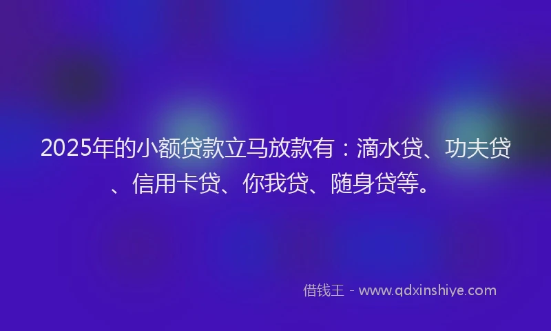 2025年的小额贷款立马放款有：滴水贷、功夫贷、信用卡贷、你我贷、随身贷等。