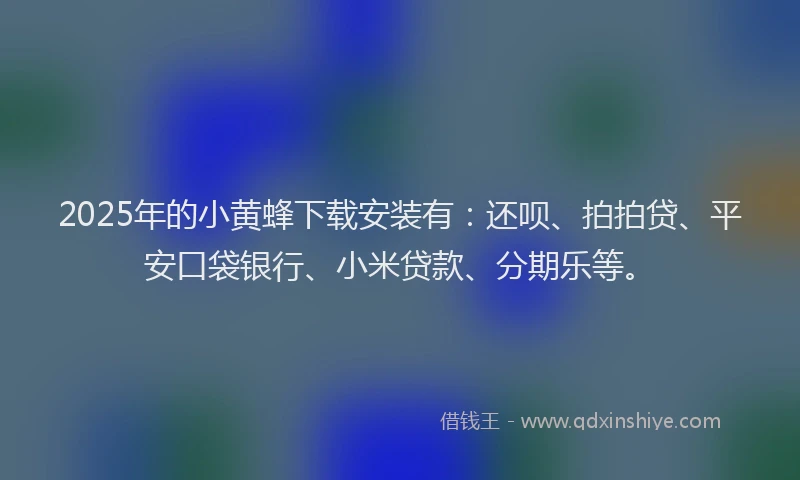 2025年的小黄蜂下载安装有：还呗、拍拍贷、平安口袋银行、小米贷款、分期乐等。