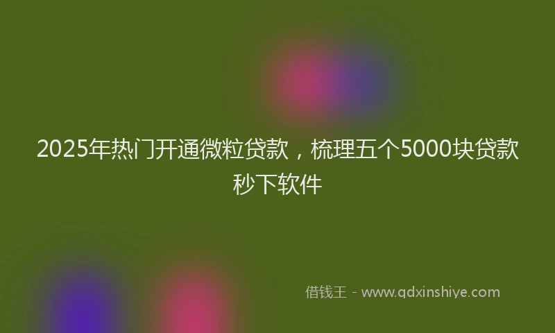 2025年热门开通微粒贷款，梳理五个5000块贷款秒下软件