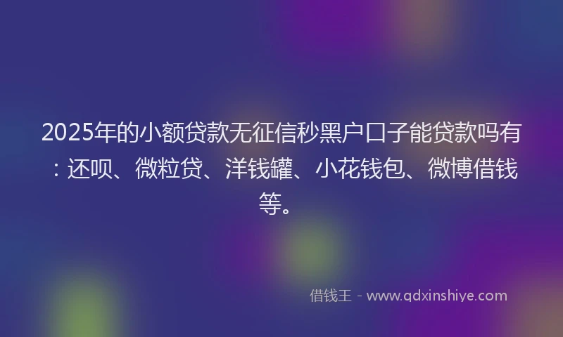2025年的小额贷款无征信秒黑户口子能贷款吗有：还呗、微粒贷、洋钱罐、小花钱包、微博借钱等。