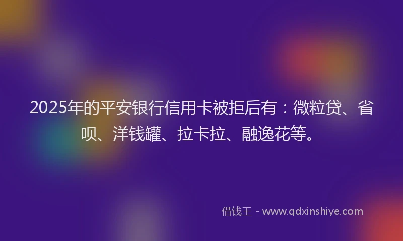 2025年的平安银行信用卡被拒后有：微粒贷、省呗、洋钱罐、拉卡拉、融逸花等。