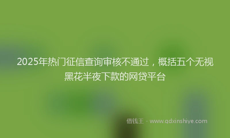 2025年热门征信查询审核不通过，概括五个无视黑花半夜下款的网贷平台