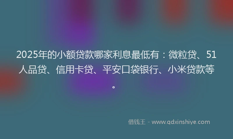 2025年的小额贷款哪家利息最低有：微粒贷、51人品贷、信用卡贷、平安口袋银行、小米贷款等。