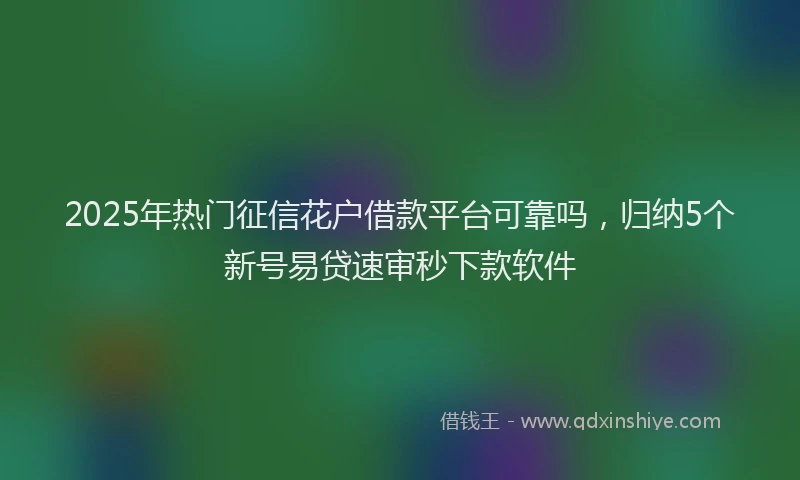 2025年热门征信花户借款平台可靠吗，归纳5个新号易贷速审秒下款软件