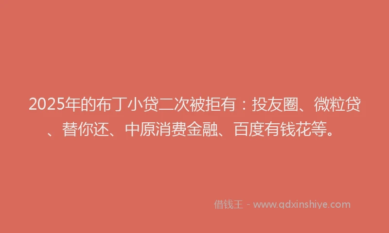 2025年的布丁小贷二次被拒有：投友圈、微粒贷、替你还、中原消费金融、百度有钱花等。