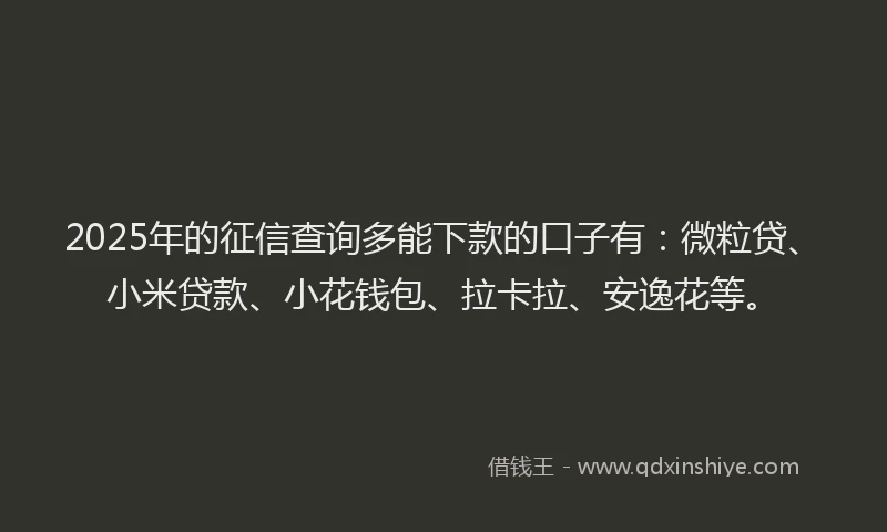 2025年的征信查询多能下款的口子有：微粒贷、小米贷款、小花钱包、拉卡拉、安逸花等。