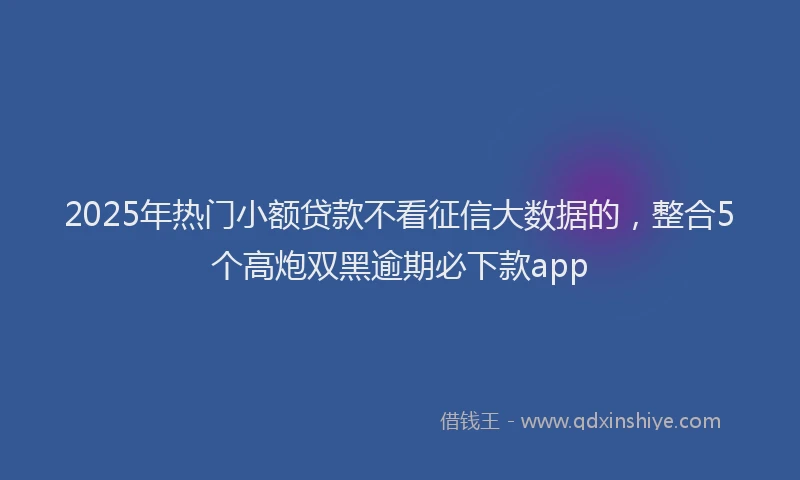 2025年热门小额贷款不看征信大数据的，整合5个高炮双黑逾期必下款app