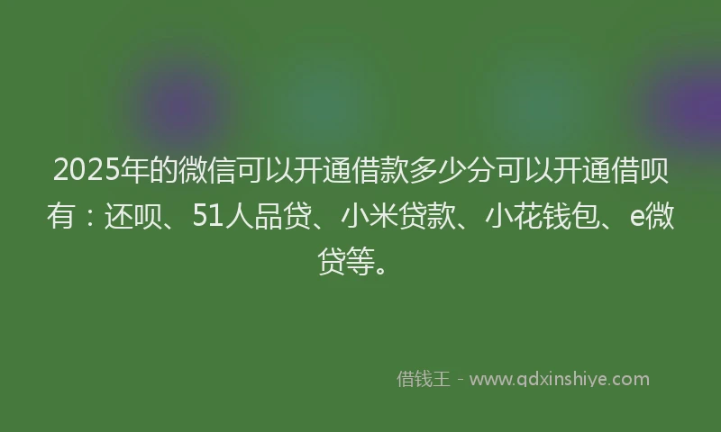 2025年的微信可以开通借款多少分可以开通借呗有：还呗、51人品贷、小米贷款、小花钱包、e微贷等。
