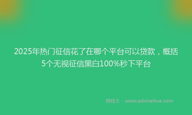 2025年热门征信花了在哪个平台可以贷款，概括5个无视征信黑白100%秒下平台