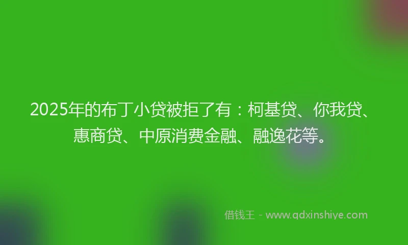2025年的布丁小贷被拒了有：柯基贷、你我贷、惠商贷、中原消费金融、融逸花等。