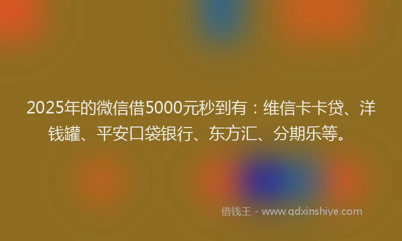 2025年的微信借5000元秒到有：维信卡卡贷、洋钱罐、平安口袋银行、东方汇、分期乐等。