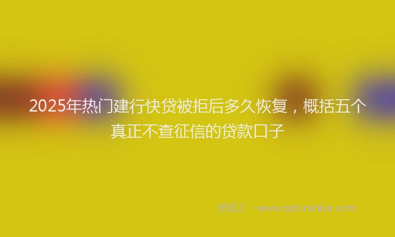 2025年热门建行快贷被拒后多久恢复，概括五个真正不查征信的贷款口子