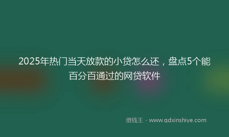 2025年热门当天放款的小贷怎么还，盘点5个能百分百通过的网贷软件
