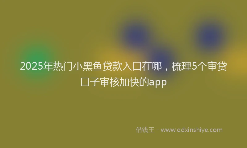 2025年热门小黑鱼贷款入口在哪，梳理5个审贷口子审核加快的app