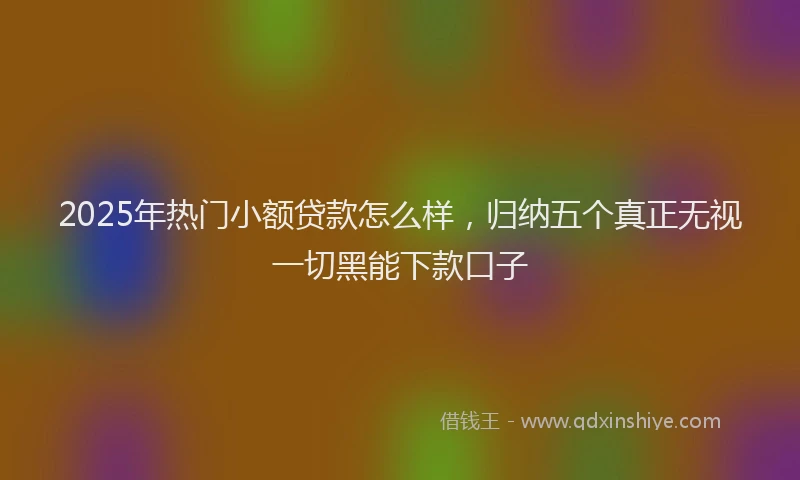 2025年热门小额贷款怎么样，归纳五个真正无视一切黑能下款口子
