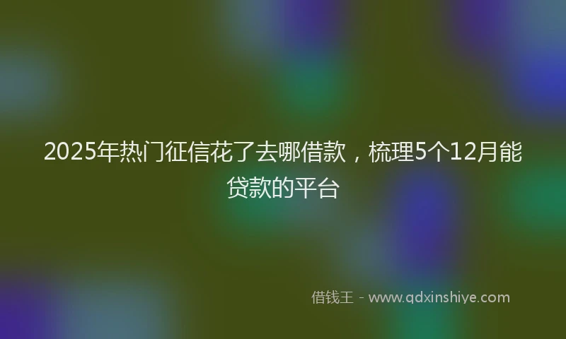 2025年热门征信花了去哪借款，梳理5个12月能贷款的平台