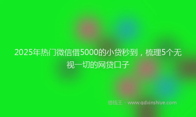 2025年热门微信借5000的小贷秒到，梳理5个无视一切的网贷口子