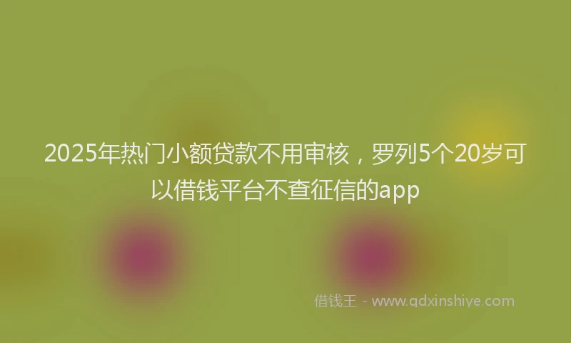 2025年热门小额贷款不用审核，罗列5个20岁可以借钱平台不查征信的app