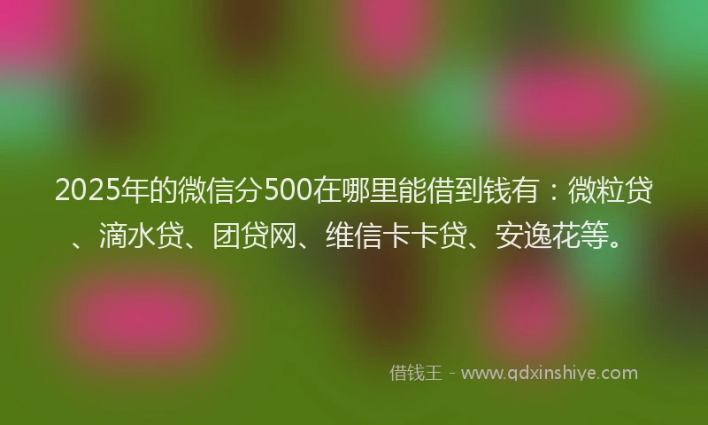 2025年的微信分500在哪里能借到钱有：微粒贷、滴水贷、团贷网、维信卡卡贷、安逸花等。