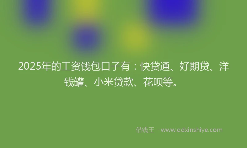 2025年的工资钱包口子有：快贷通、好期贷、洋钱罐、小米贷款、花呗等。