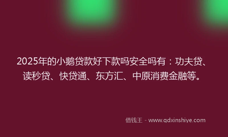 2025年的小鹅贷款好下款吗安全吗有：功夫贷、读秒贷、快贷通、东方汇、中原消费金融等。