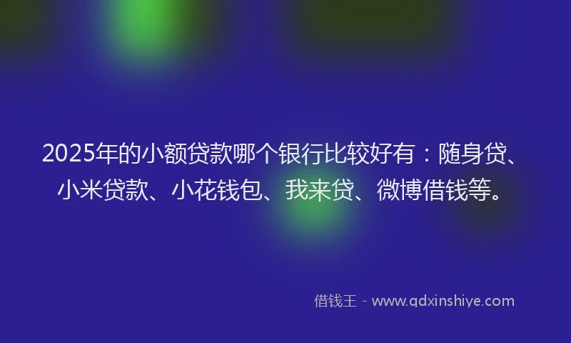 2025年的小额贷款哪个银行比较好有：随身贷、小米贷款、小花钱包、我来贷、微博借钱等。
